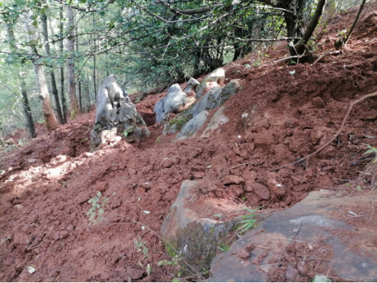 昆明信息港/cnkmxxg