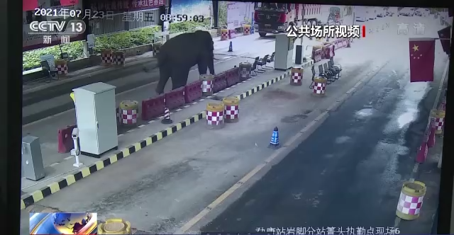 昆明信息港/cnkmxxg