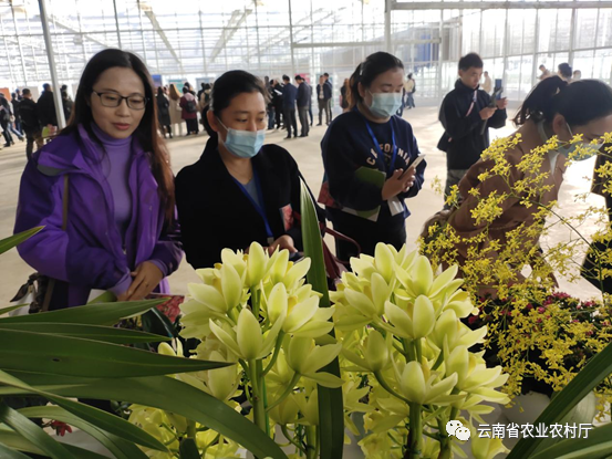 昆明市农业农村局