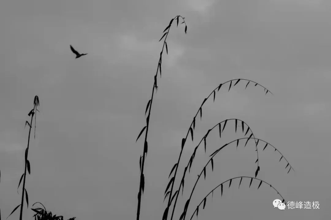 918云南交通台(微信)