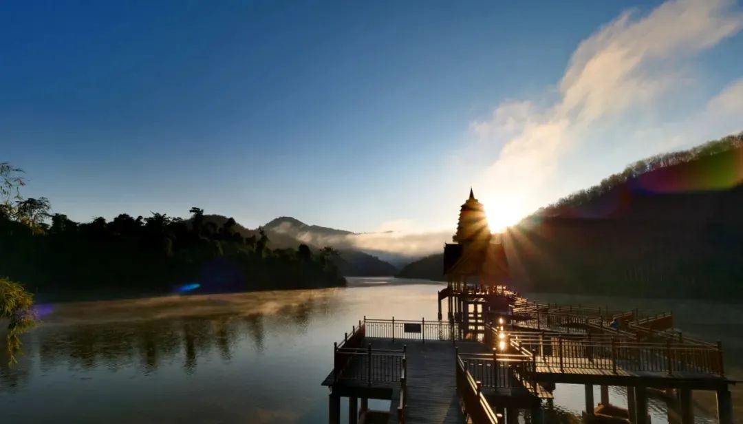 西双版纳望天树景区