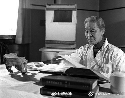 “昆明市西山区发布”微博