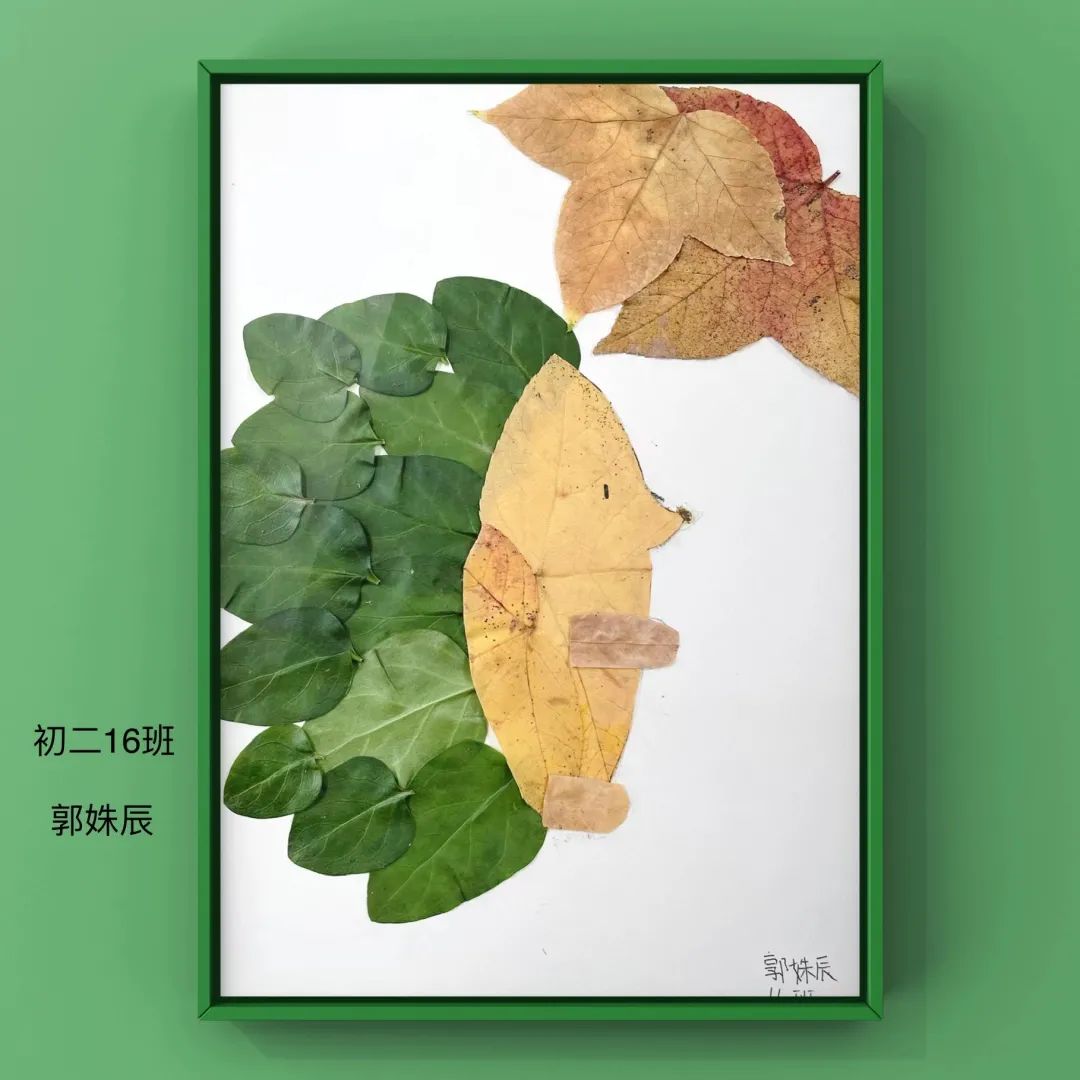 盘龙教育(微信)