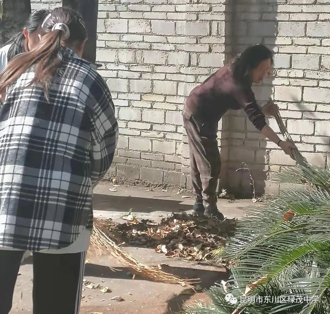 东川教育(微信)