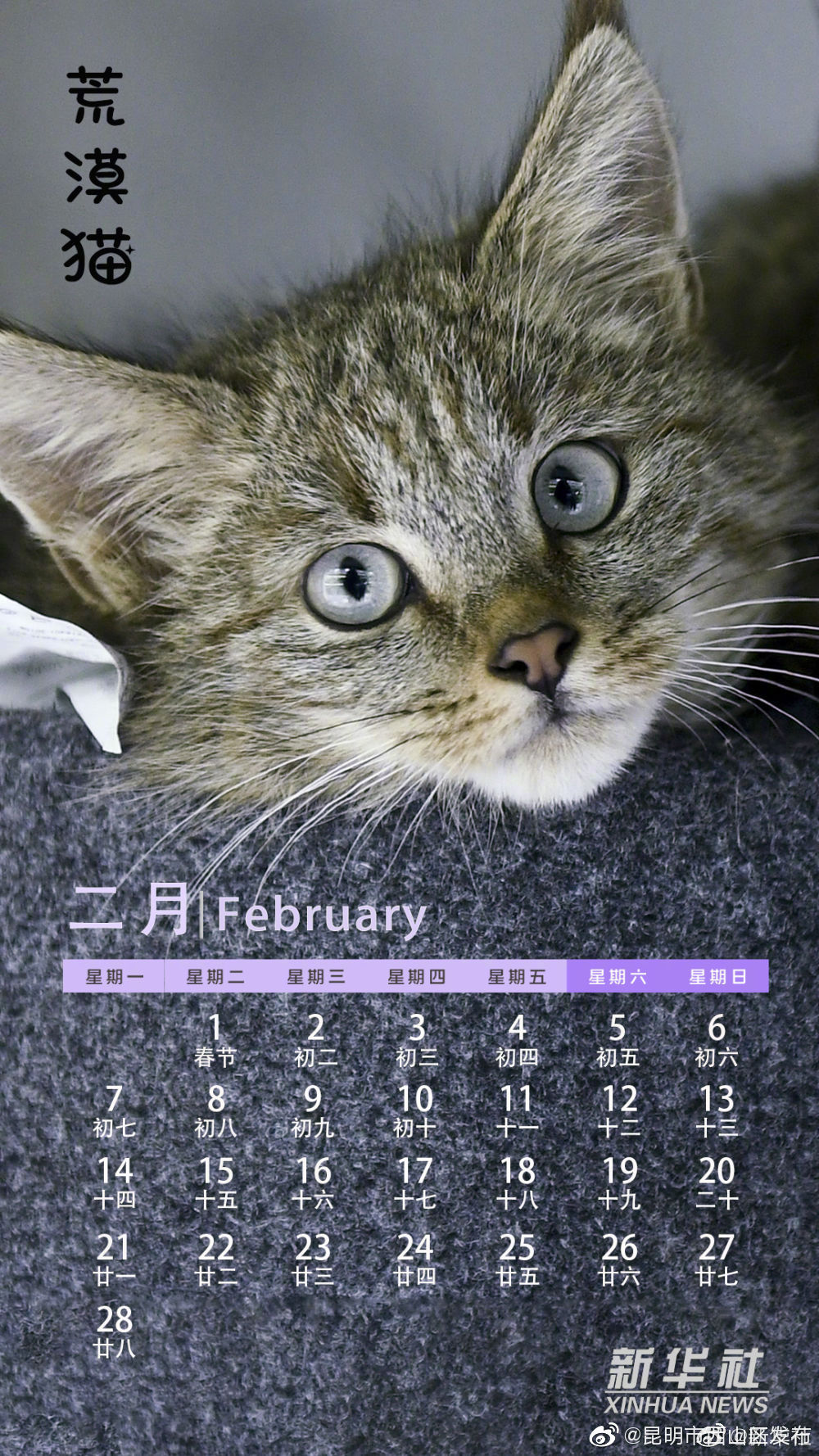 “昆明市西山区发布”微博