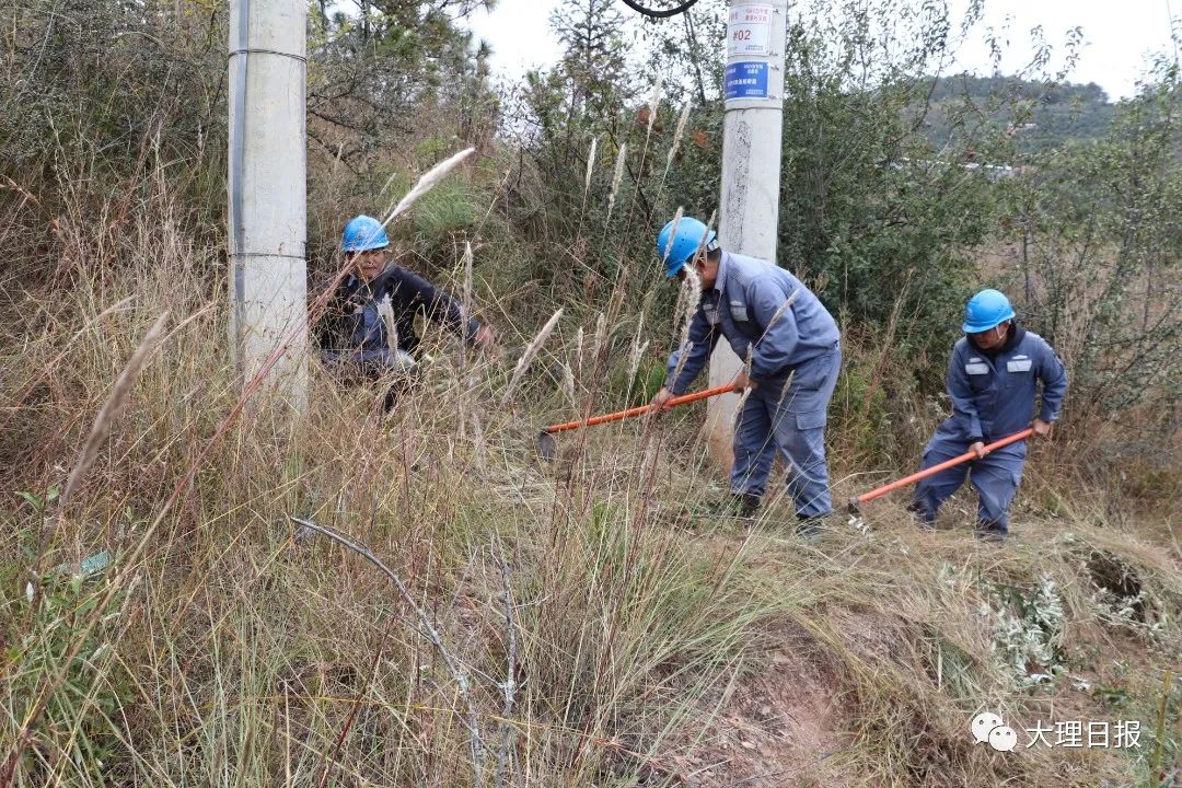 大理日报