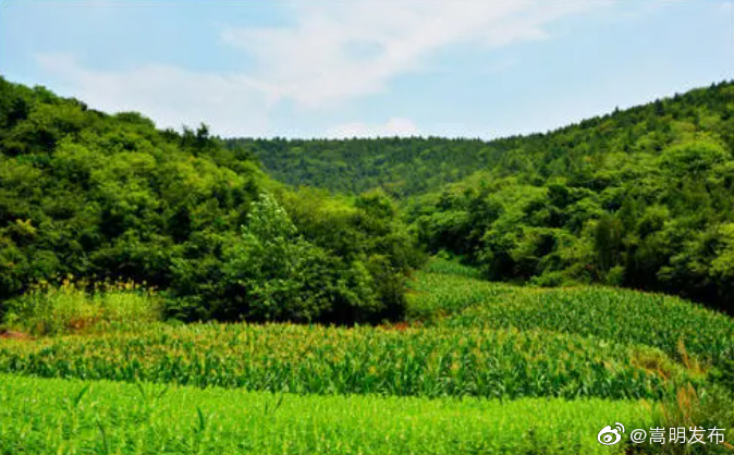 我县再添3个省级森林乡村助推乡村振兴