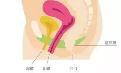 蒙自市人民医院快讯