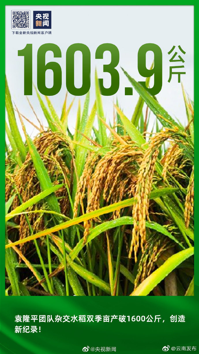 “云南发布”微博