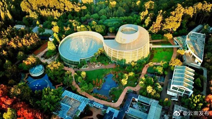 昆明植物园扶荔宫可提前一周网上预约