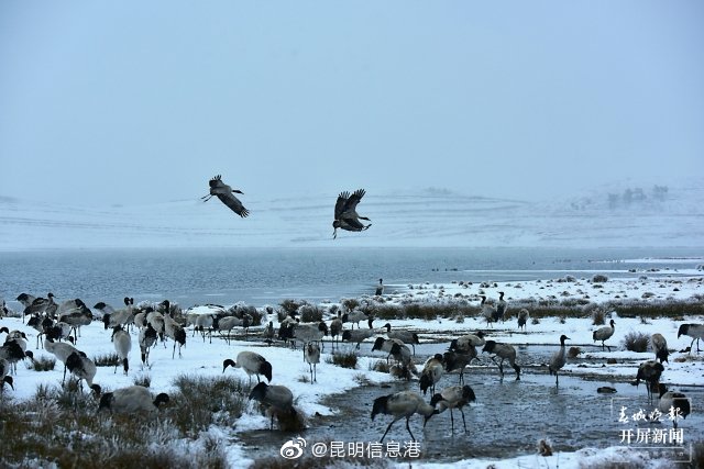 昆明信息港