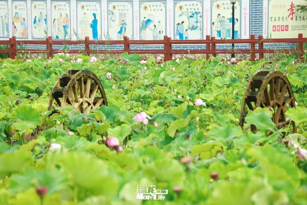 盘龙共青团
