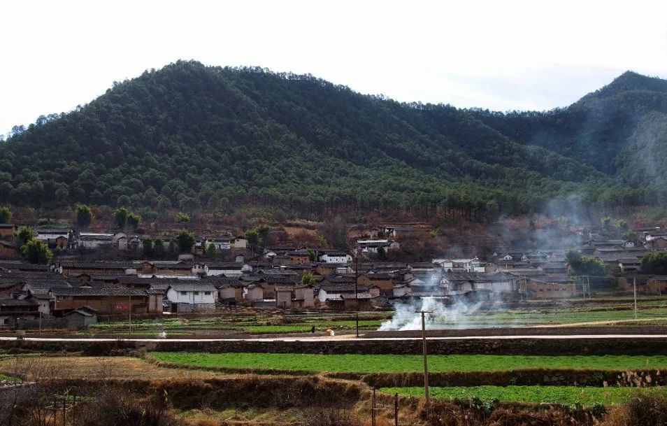 丽江日报