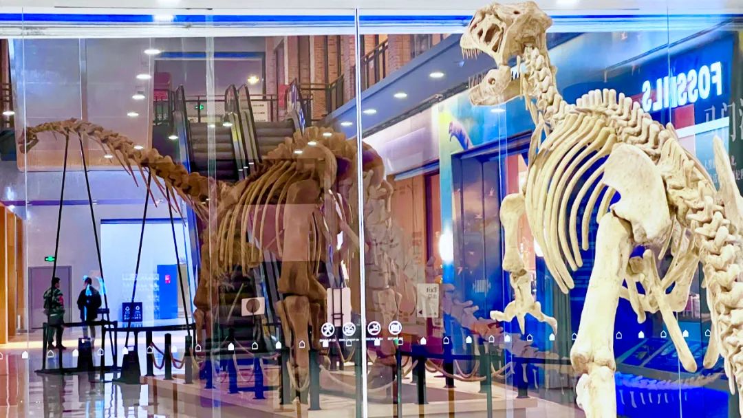 盘龙教育(微信)