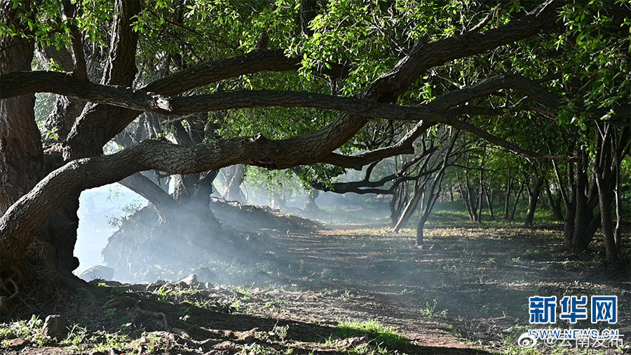 “云南发布”微博