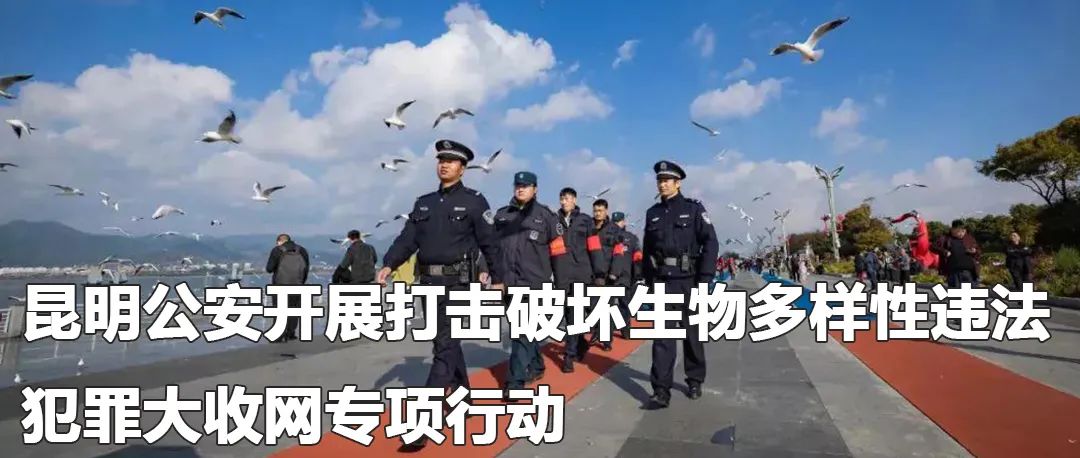 云南政法