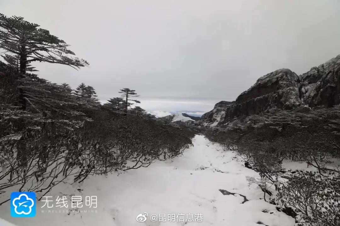 昆明信息港