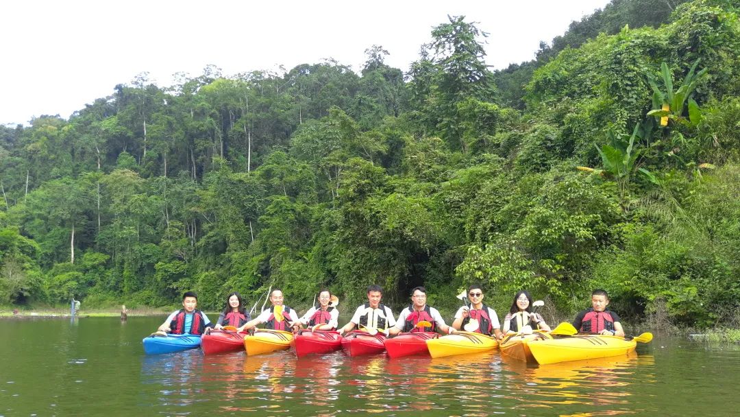 西双版纳望天树景区