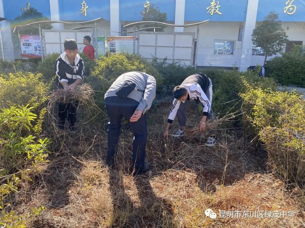 东川教育(微信)