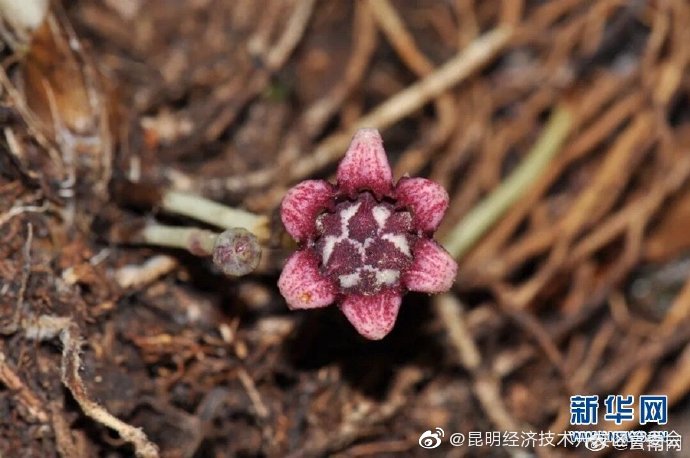 昆明经济技术开发区管委会