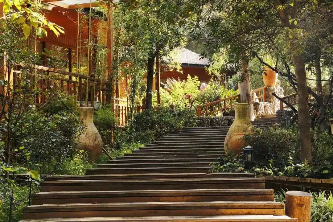 云南野生动物园