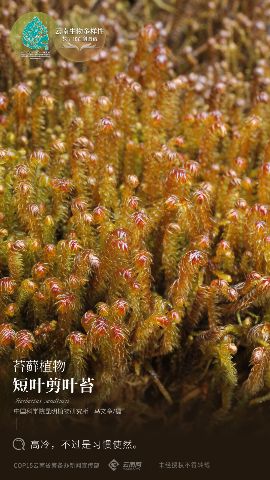 云南省人民政府网