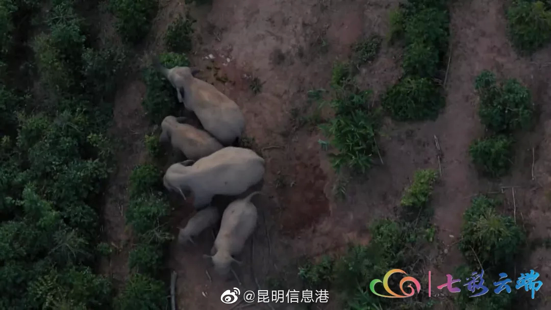 昆明信息港