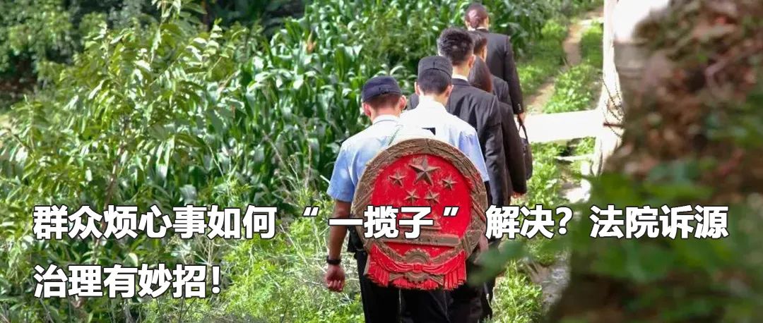 云南政法