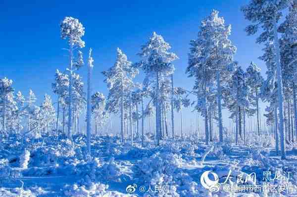 “昆明市西山区发布”微博