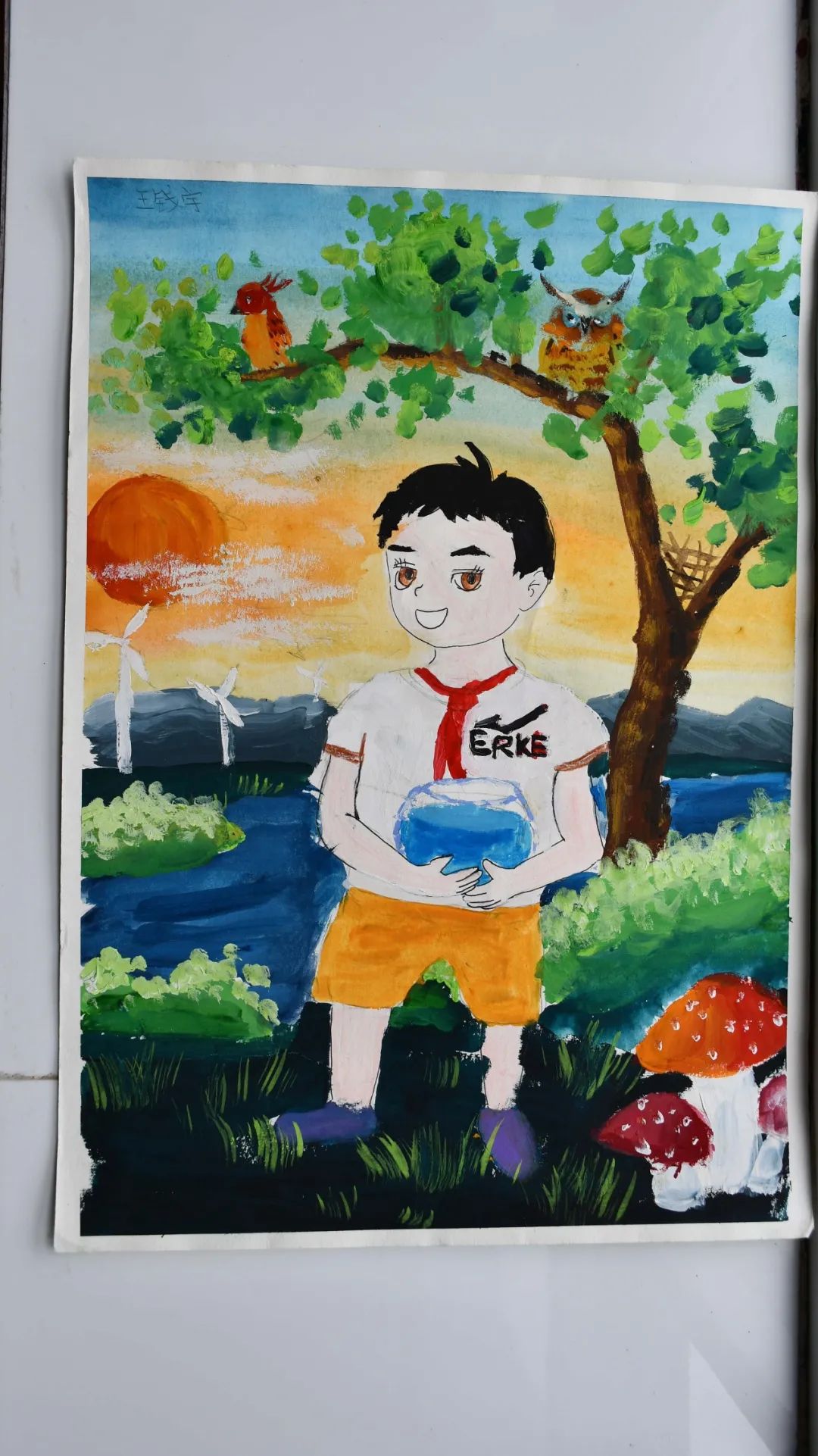盘龙教育(微信)