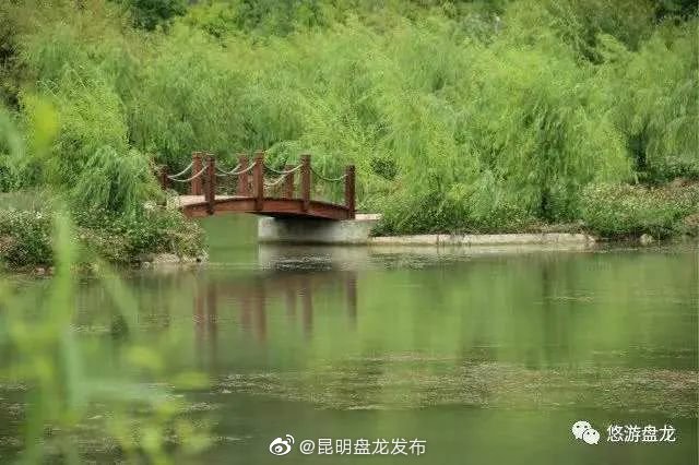 喜报！盘龙区这12个乡村获评省级森林乡村