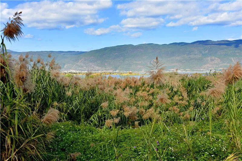红河文旅