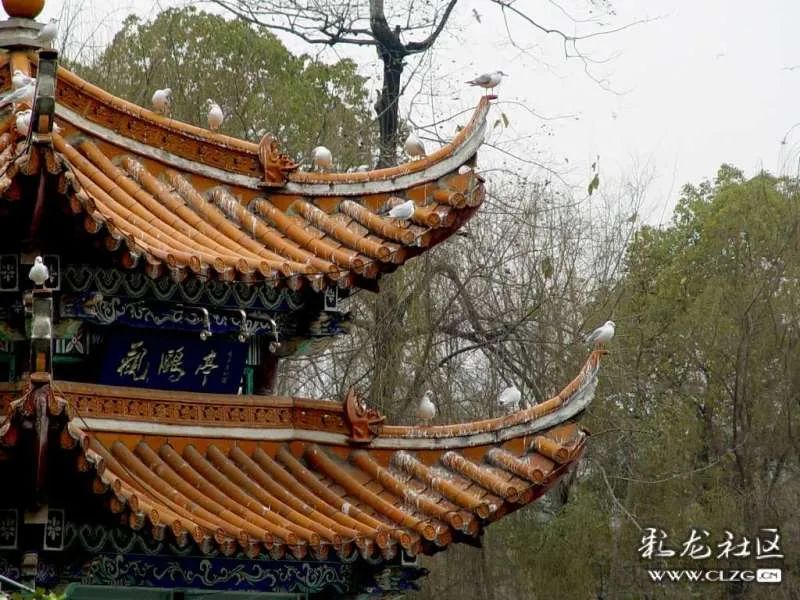 昆明信息港/cnkmxxg