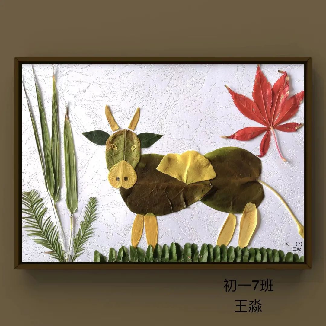 盘龙教育(微信)