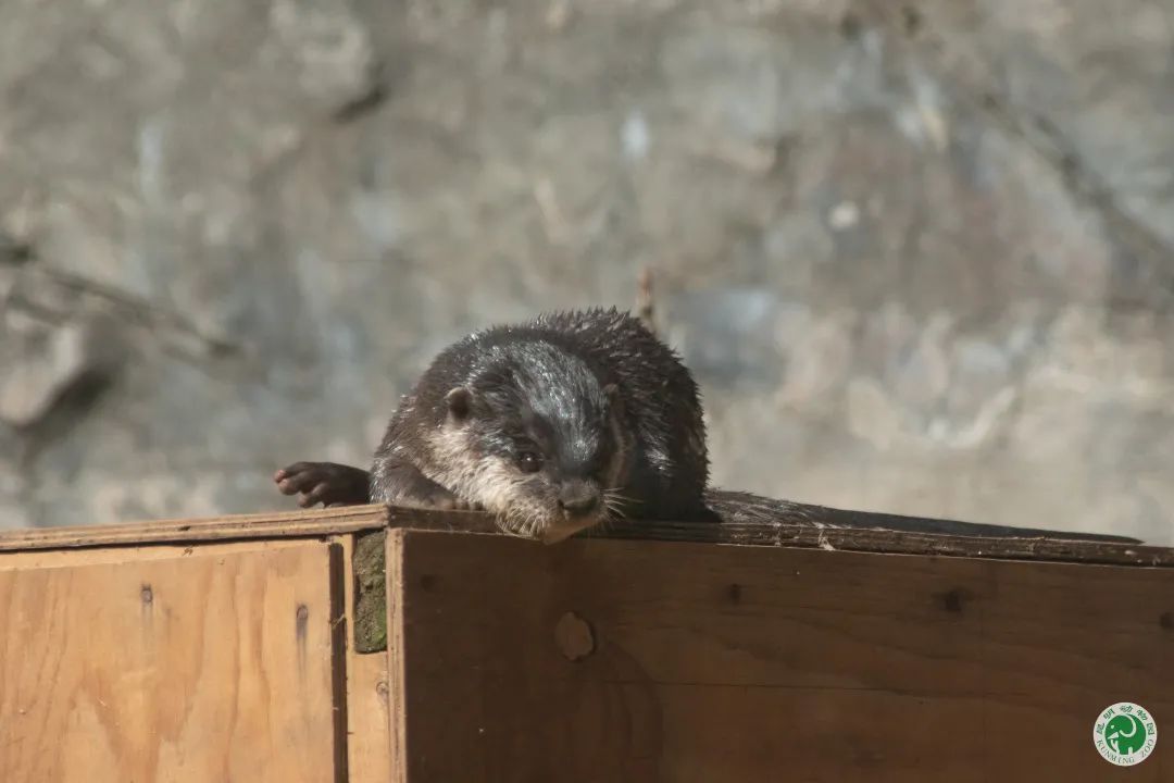 昆明动物园