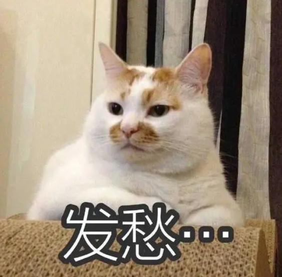昆明信息港/cnkmxxg