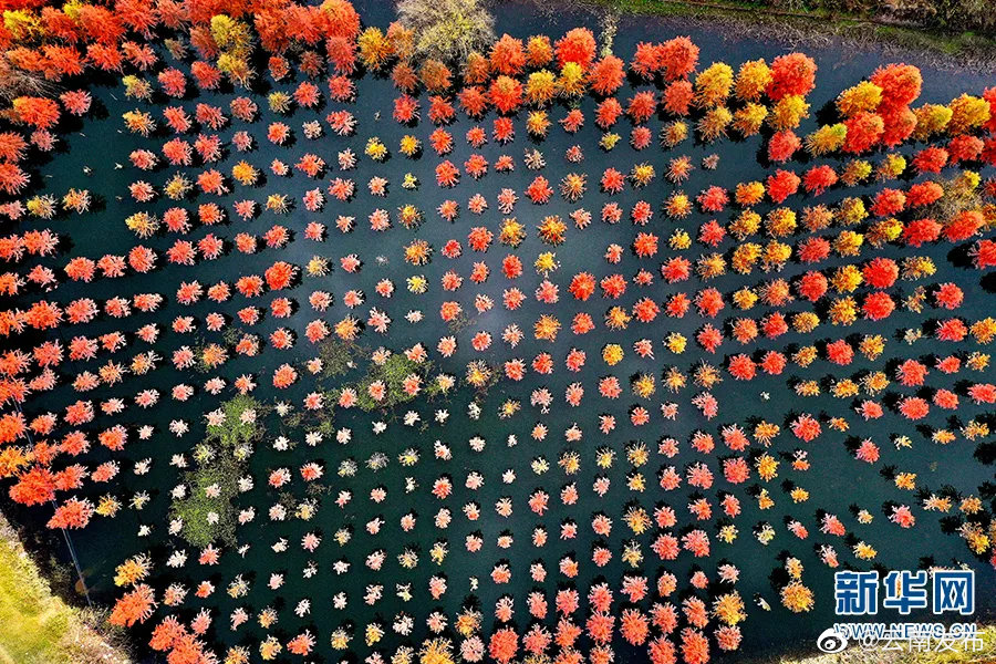 “云南发布”微博