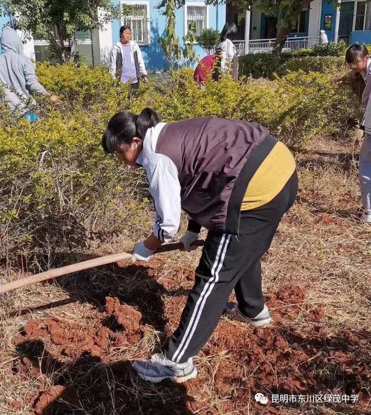 东川教育(微信)