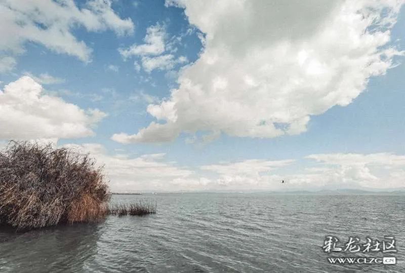 昆明信息港/cnkmxxg