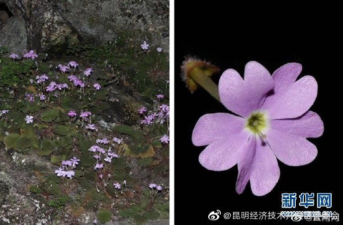 昆明经济技术开发区管委会