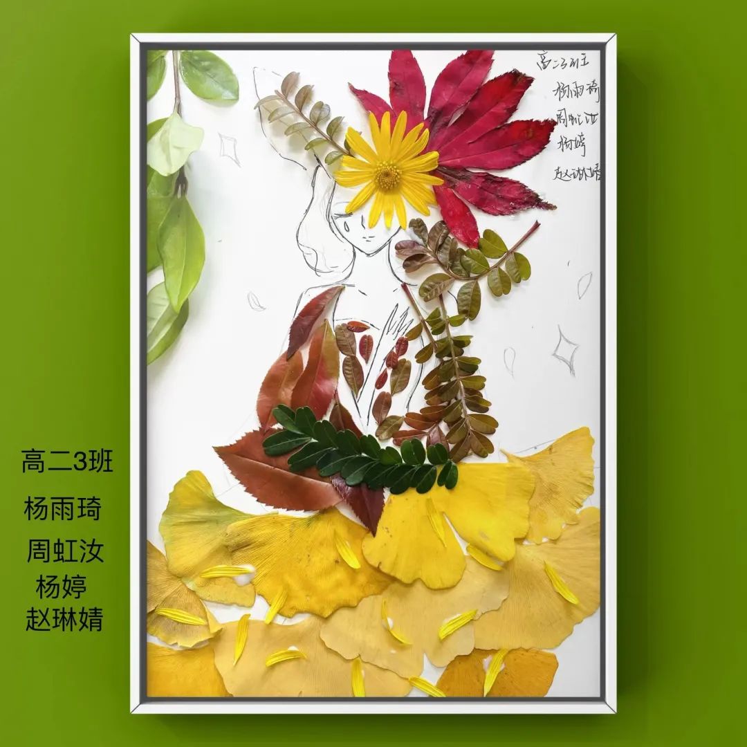 盘龙教育(微信)