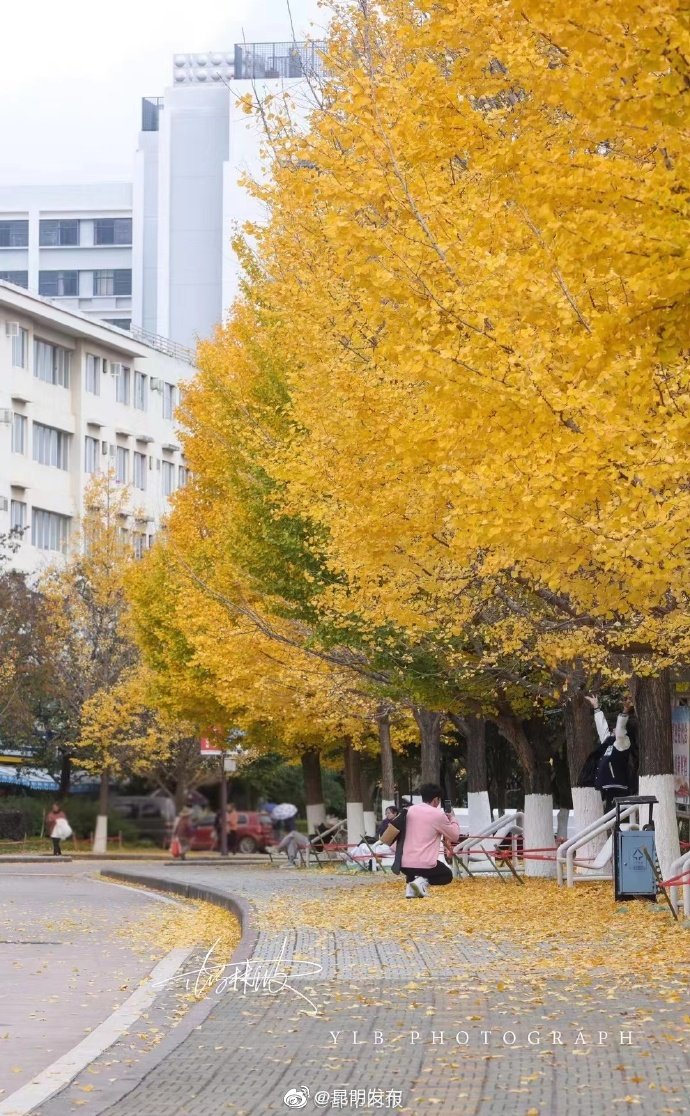 昆明发布
