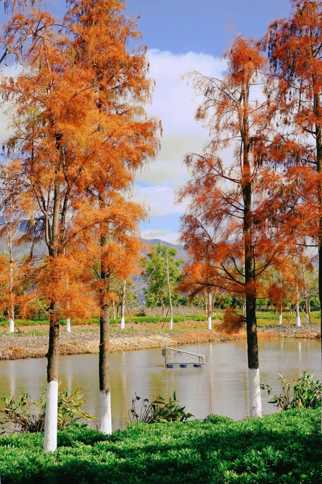 红河文旅