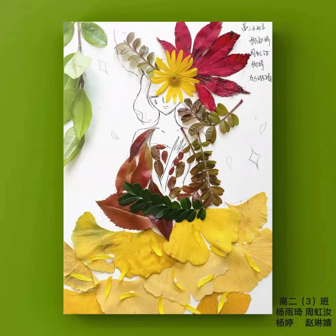 盘龙教育(微信)
