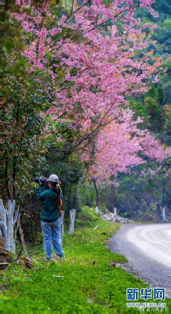 “云南发布”微博