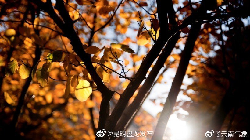 云南省未来24小时天气预报