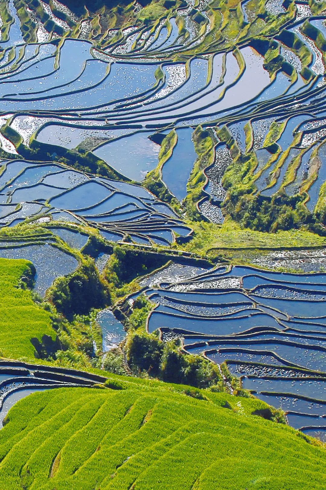 红河文旅