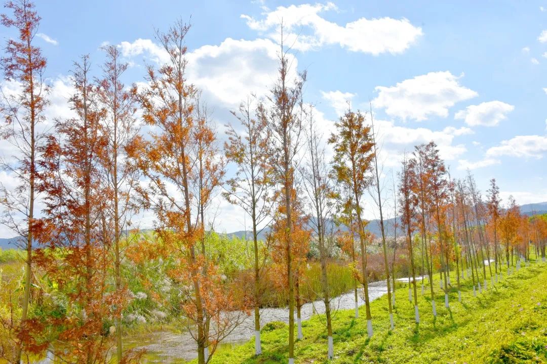 红河文旅