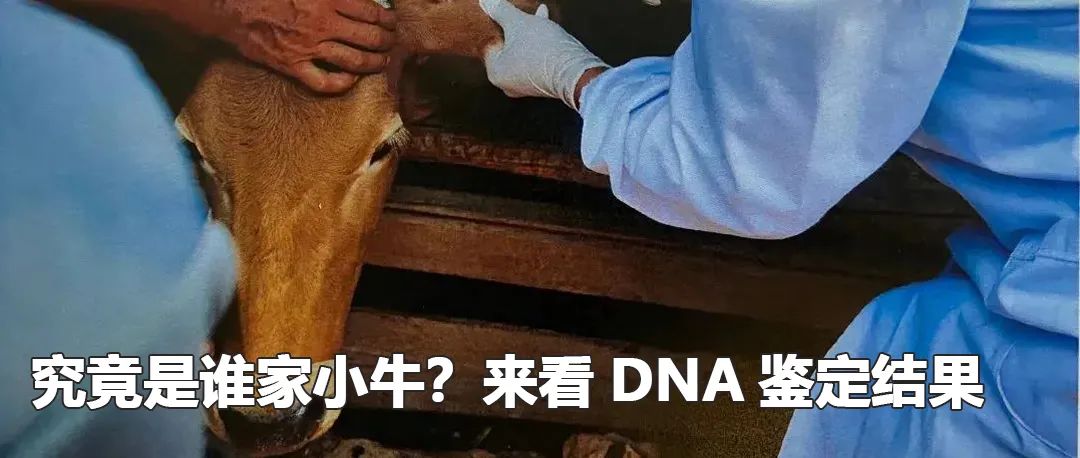 云南政法