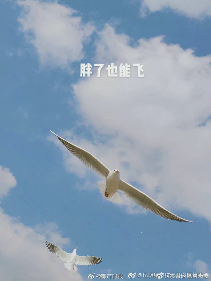 昆明经济技术开发区管委会